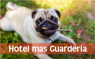 GUARDERIAP