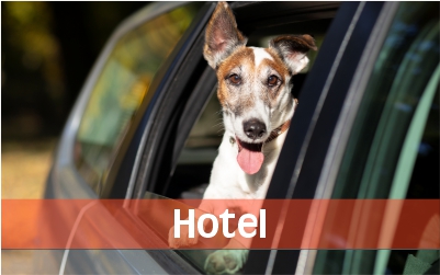 HOTELP